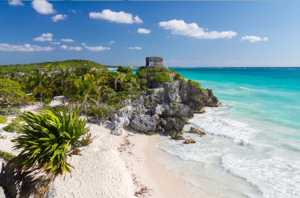 View into the Tulum coast, with crystal clear water, some ruins on top of a cliff and a forest of palm trees that stretches into the distance.