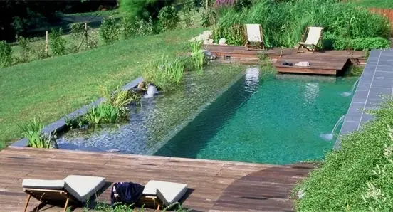 Natural or Eco-Friendly Swimming Pool